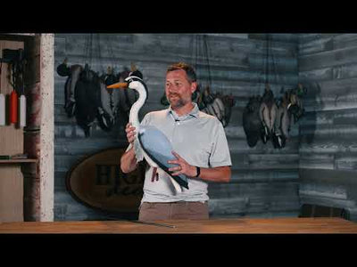 Heron