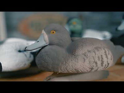 Standard Bluebill 12pk
