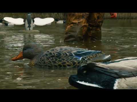 Battleship Swimmer PRO, Mallard Hen