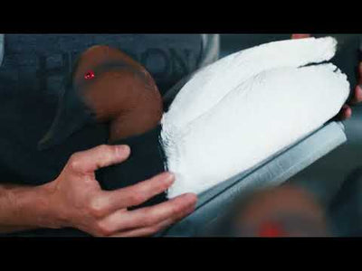 Battleship Canvasback