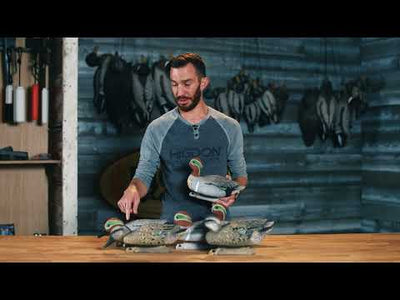 Standard Green Wing Teal 6pk