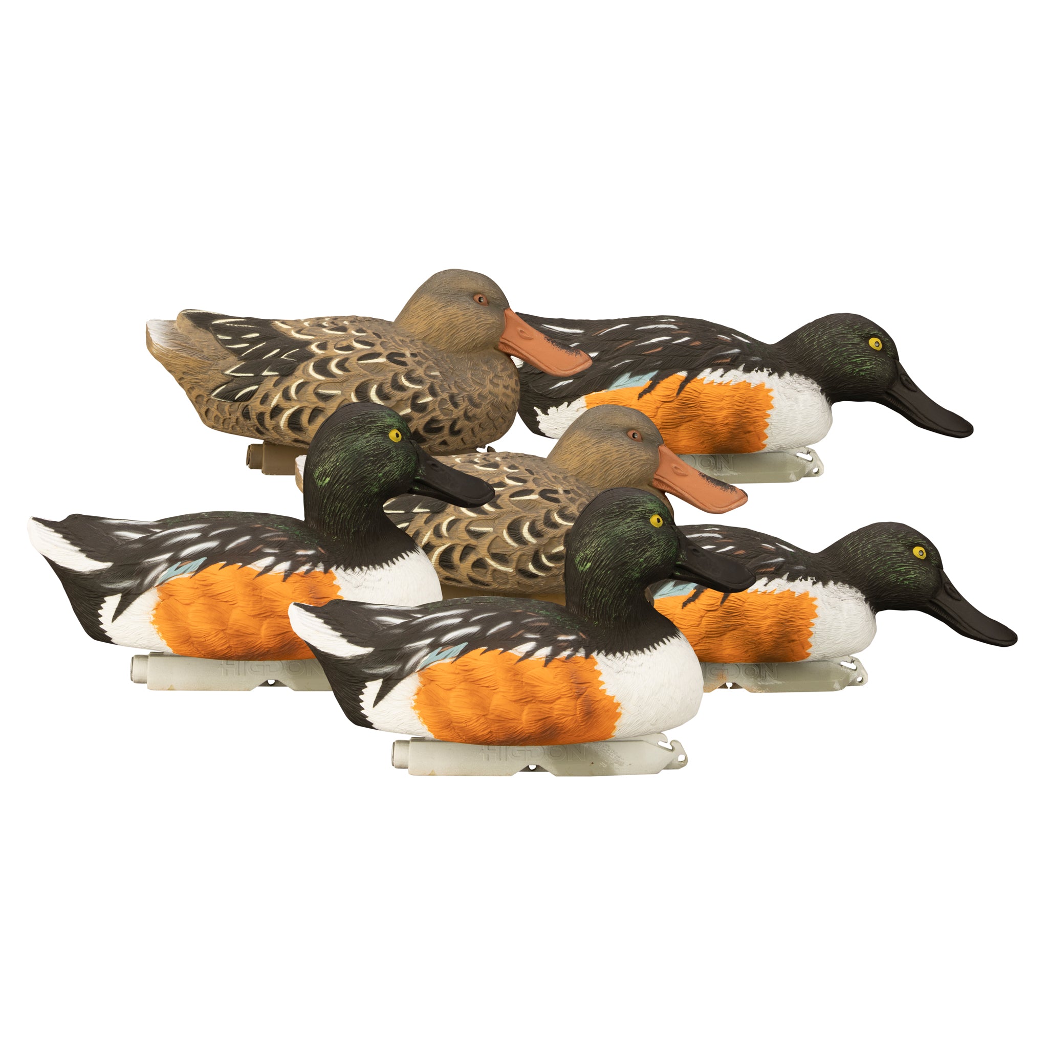 Higdon Standard Shoveler Duck Decoy – Higdon Outdoors