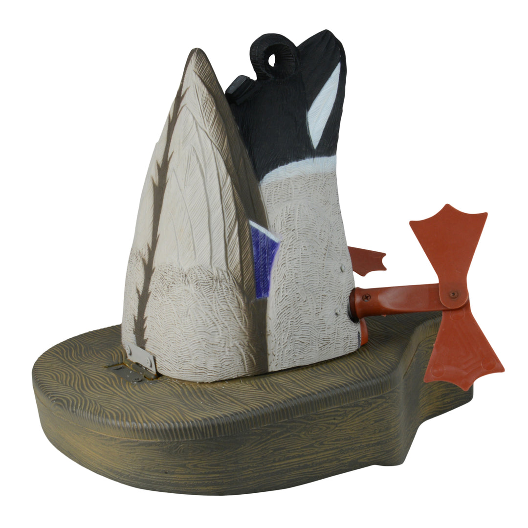 53012-Studio_1080x.jpg?v=