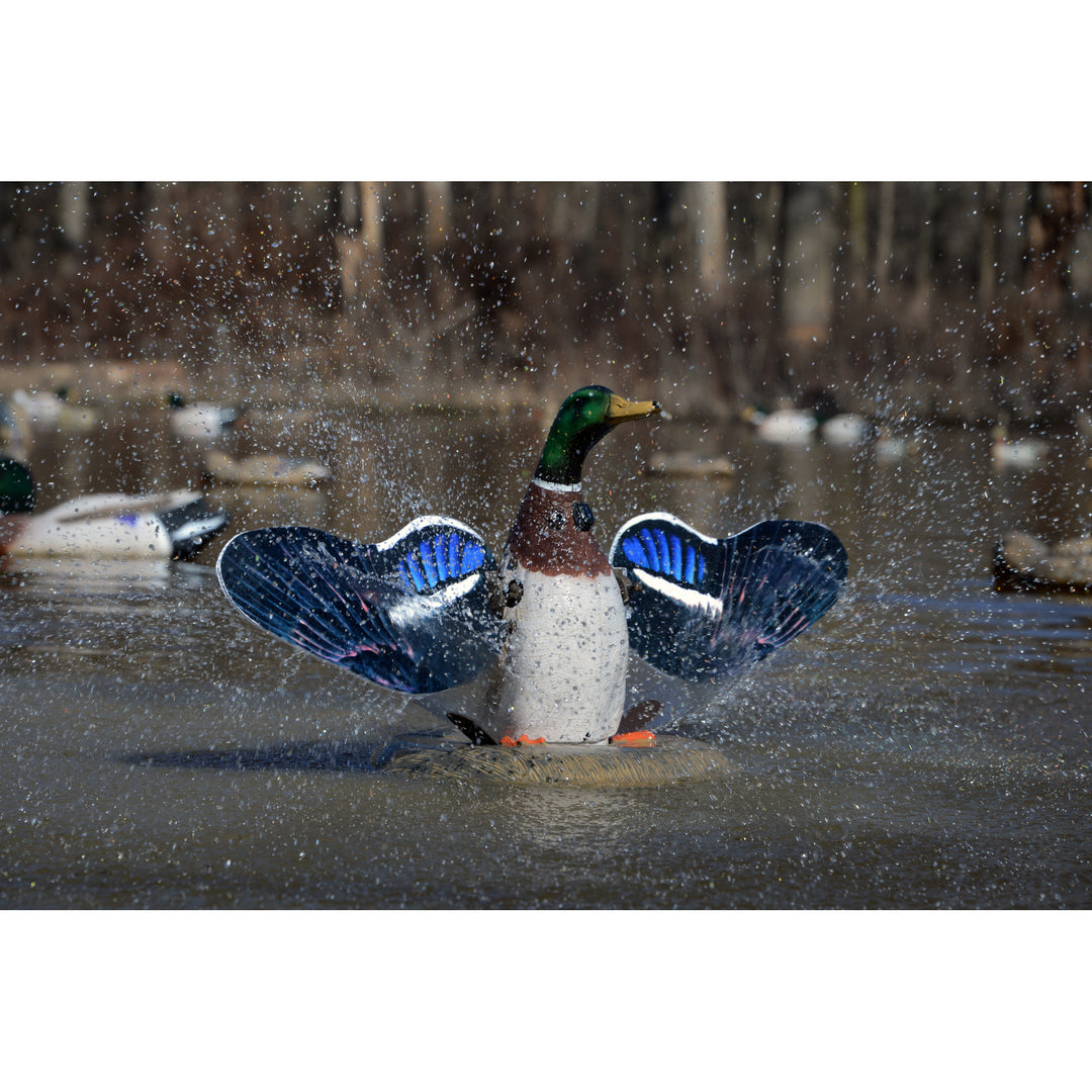 XS Splashing-Flasher-Mallard Drake – Higdon Outdoors