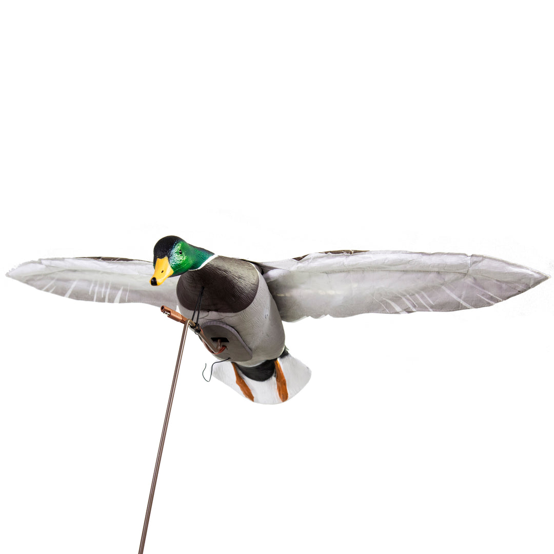 Clone Mallard Drake – Higdon Outdoors