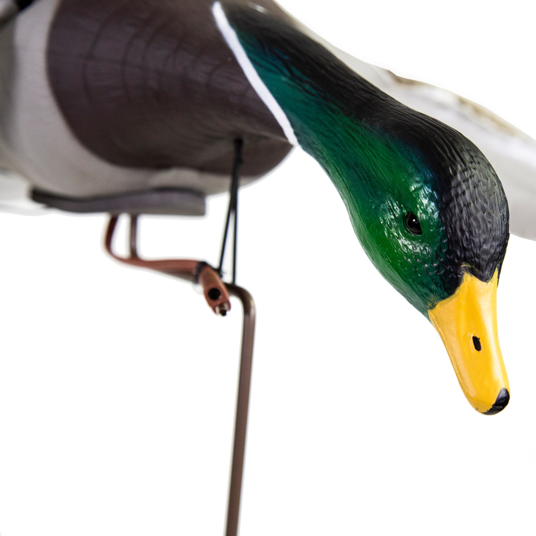 Clone Mallard Drake – Higdon Outdoors