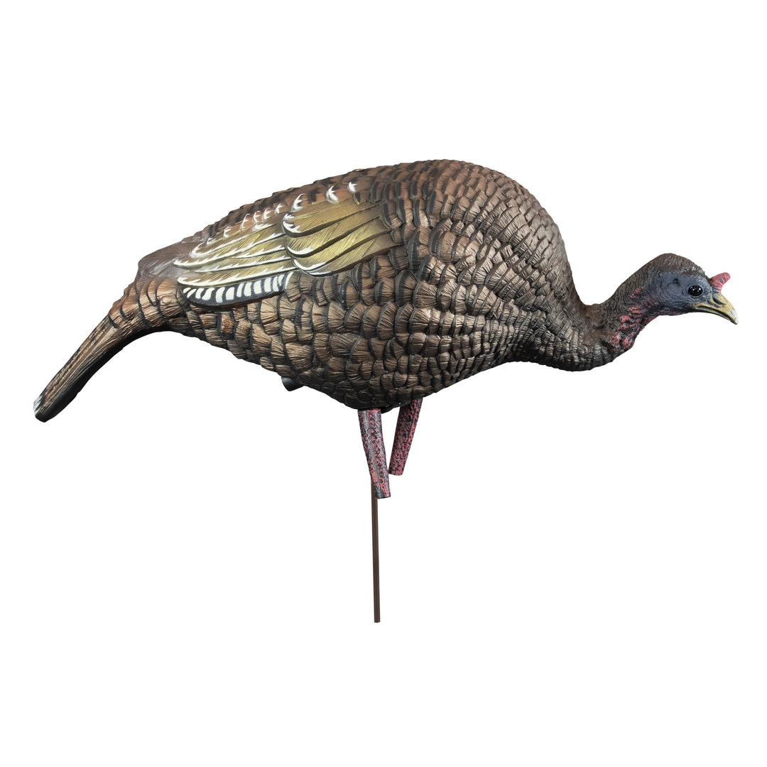 Higdon Hard Body Feeder Hen Turkey Decoy – Higdon Outdoors