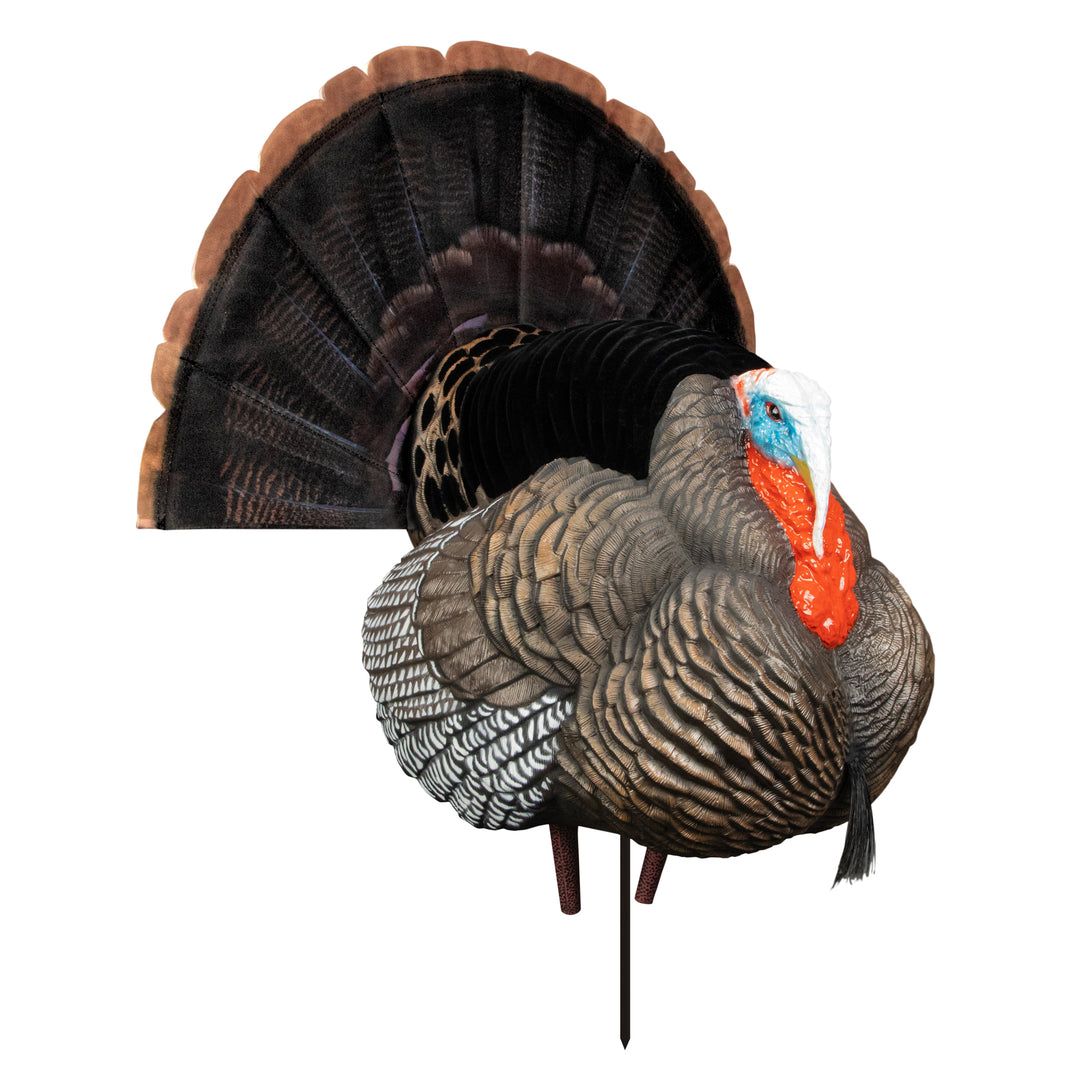 Apex Strutter Hard Body Turkey – Higdon Outdoors