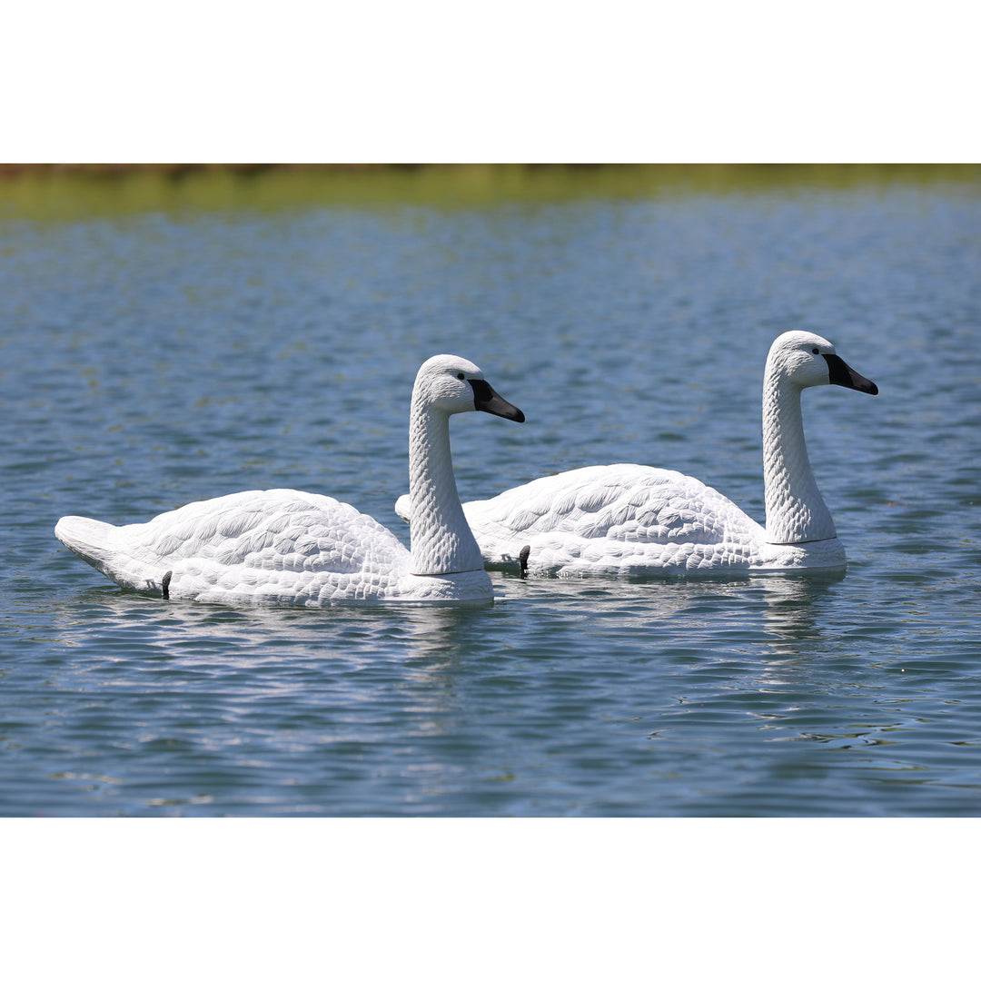 Higdon Tundra Swan Decoy – Higdon Outdoors