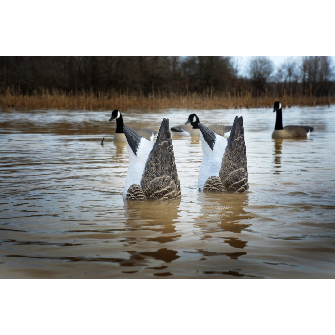 Higdon Magnum Goose Butt Decoy-Canada – Higdon Outdoors