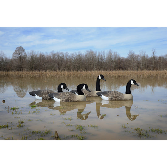 Full Size Goose Floater Canada