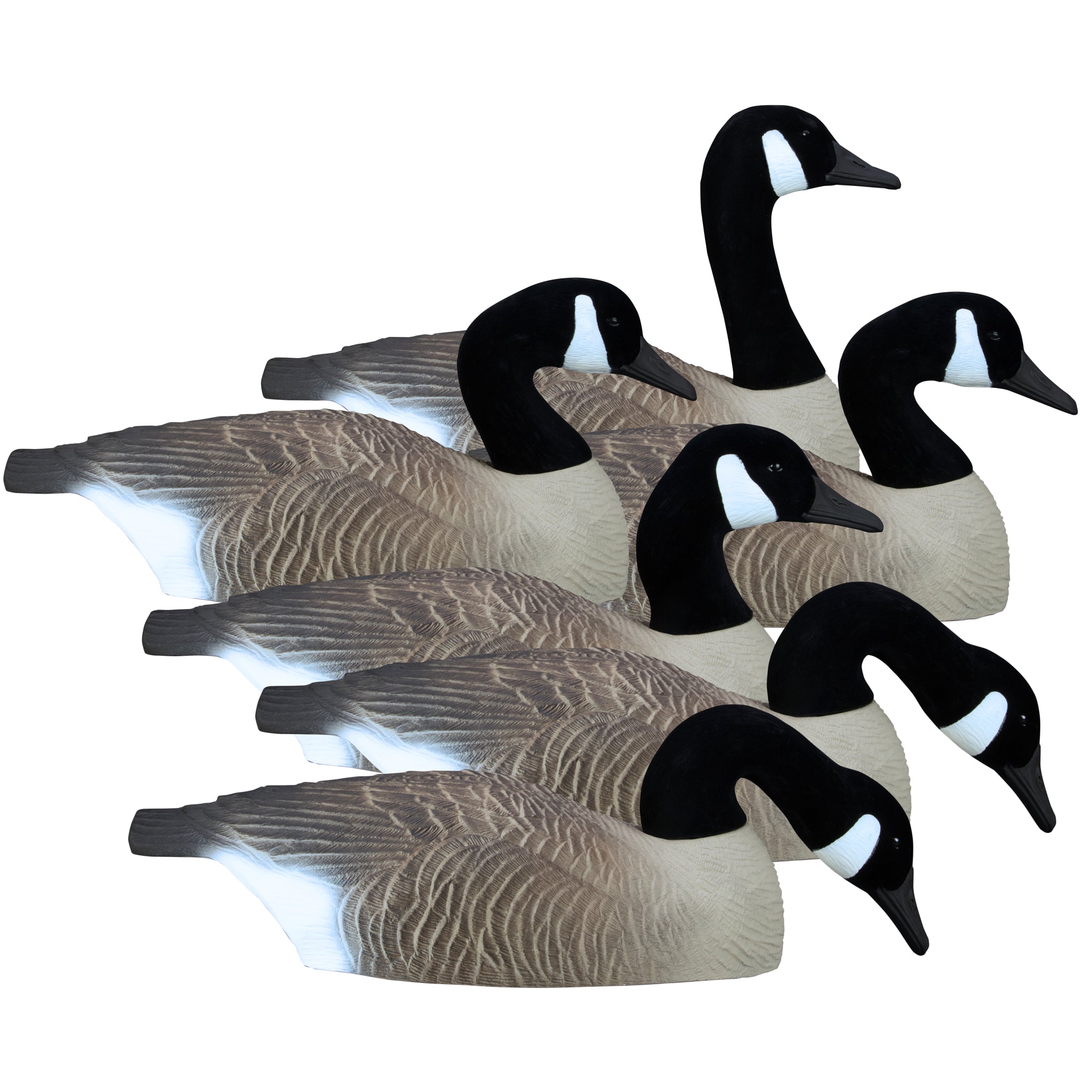 Half Bird Shell Higdon Full-Size Half-Shell Decoy-Canada – Higdon Outdoors