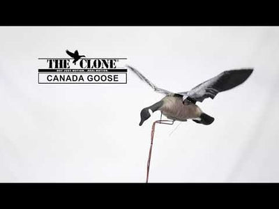 Clone Canada Goose