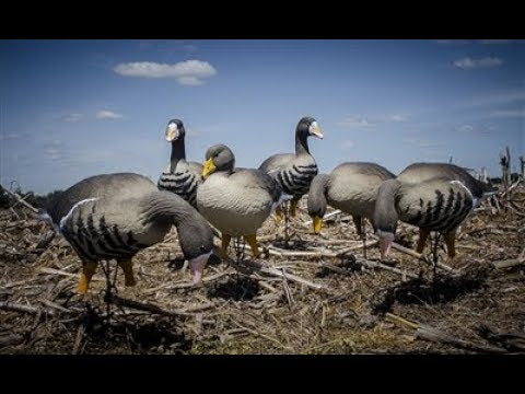 Full-Size Goose Floater-Speck